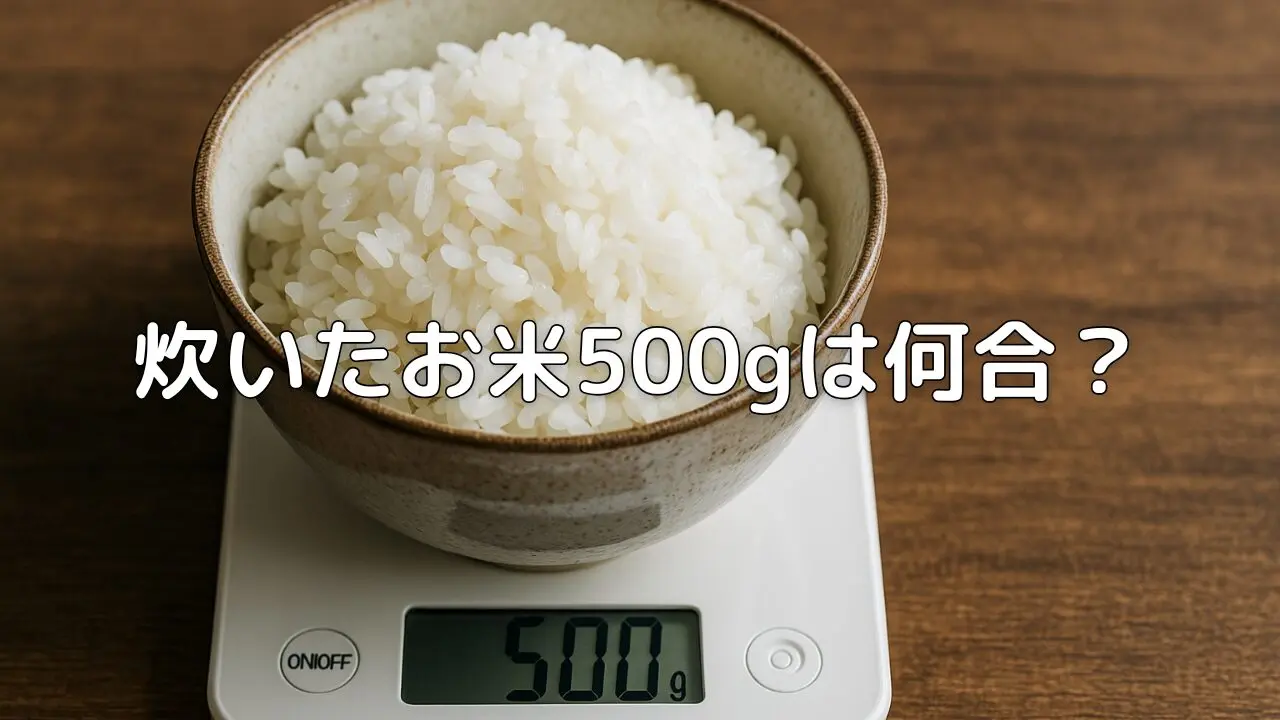 ご飯500 gは何合?茶碗何杯?目安と活用アイデアを解説 | 知識の交差点